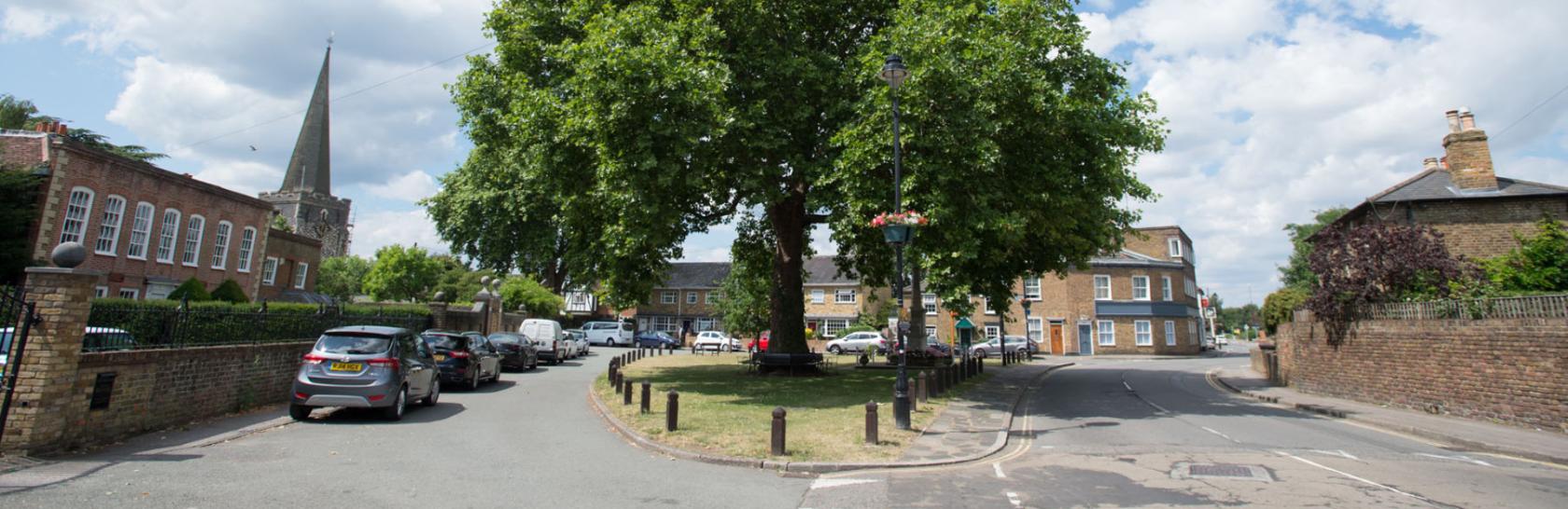 Street with tree in the centre of the road